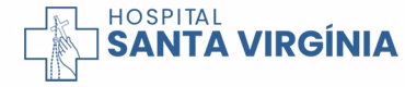 santavirginia